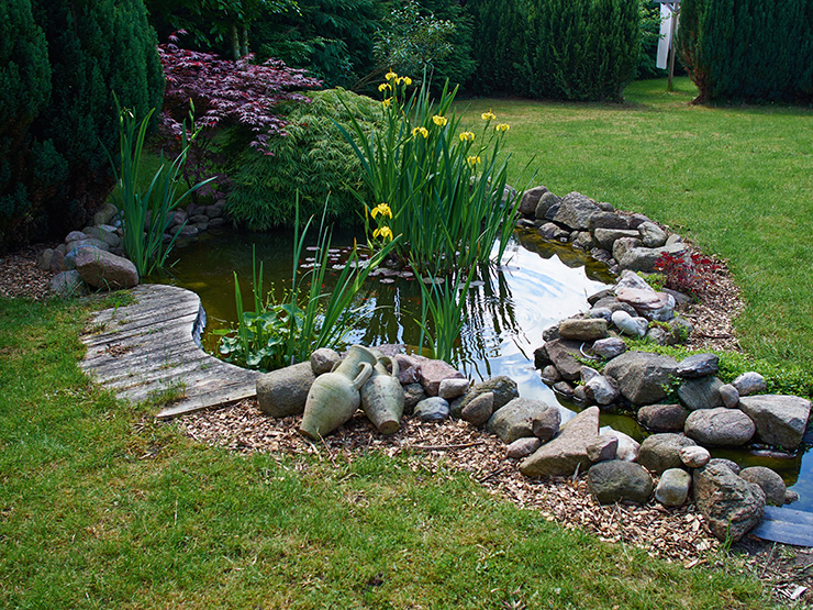 Picture of a garden pond