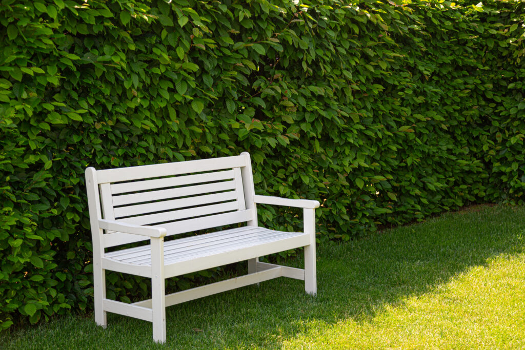 Picture of a garden with green lawn, hedge and white bench