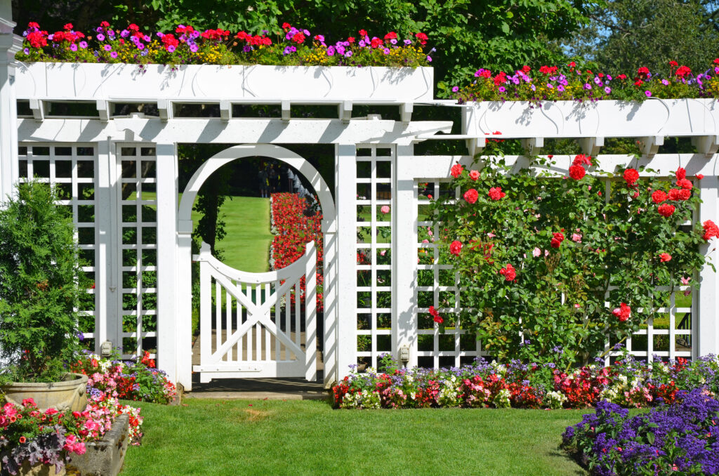Picture of a garden with a white door and fence and flowers growing up the trellis