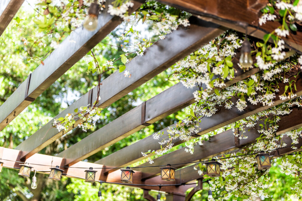 Picture of a pergola covered in a climbing plant