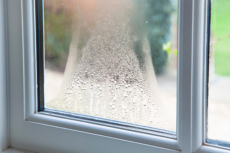 Picture of a window with failed window glazing, causing condensation build up