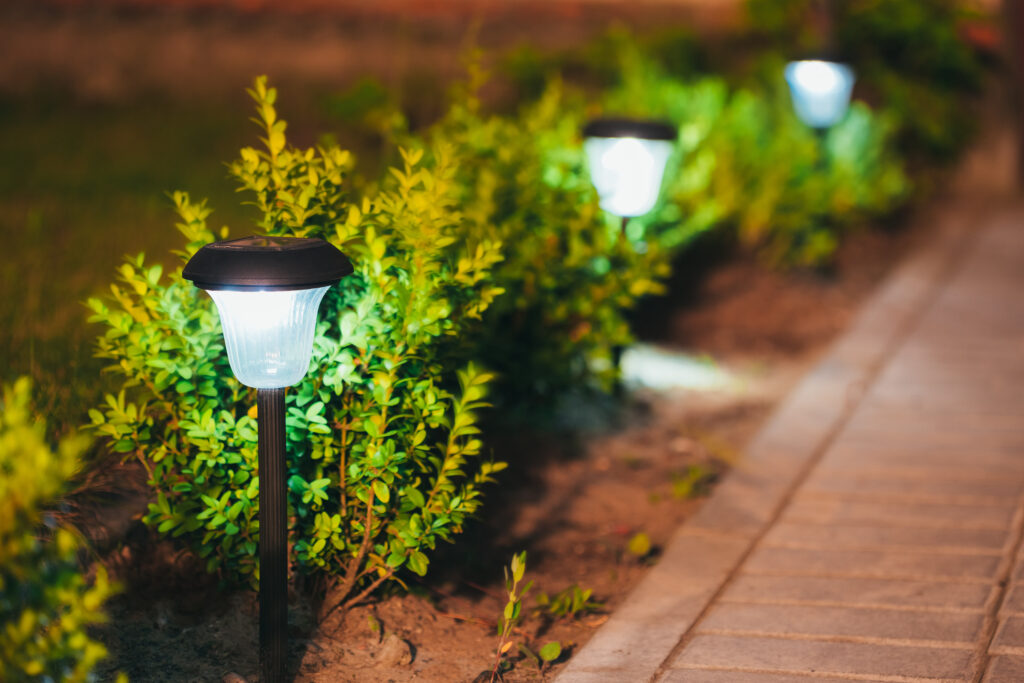 Picture of garden lighting by path