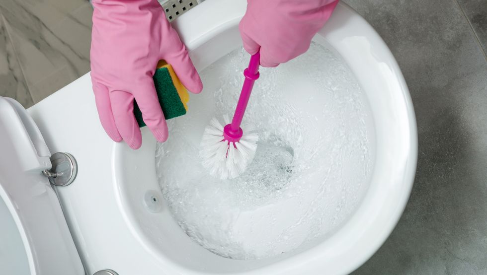 toilet bowl cleaning, hand wearing gloves while cleaning a white toilet